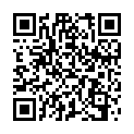 QR Incidin Foam готова до використання піна для дезінфекції поверхонь 16 фл