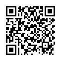 QR HOLLIST PREM ILEO KARA FILT 16