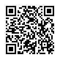 QR FLAEM HANDYNEB PLUS TRAGBARER