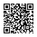 QR ROMULSIN PFLEGESHAMPOO HAMAMEL