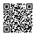 QR Vayo E-Shisha Mixed Box 16 шт