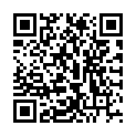 QR LoFric Origo Nelaton 30см CH08 30 шт