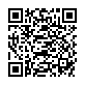 QR INCIDIN PRO FLCHENDESINFEKTION