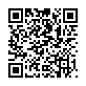 QR Змінні накладки QUICK SPLINT L 10 шт