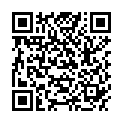 QR PRANAROM ZERST LILIEN GLAS/HOL