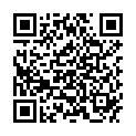 QR Incidin OxyWipe готова до використання серветка для дезінфекції поверхонь XL 6
