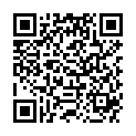 QR SPAGYRIK SPABIONIK FERRUM SIDE