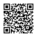 QR SIGV 503 PL SCHEN HALT KU L LI