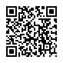 QR SIGV 503 SCHENKEL HALT KU M RE