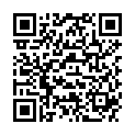 QR SIGV 503 SCHENKEL HALT KU L LI