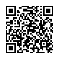 QR SCHMID PAPIERSERVIETTEN 45X45