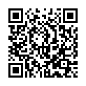 QR SEIDE 2X70CM SCHWARZ 2-0 24 ST