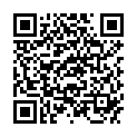 QR Ароматна суміш Aromalife Display Різдвяна ефірна олія/олія 12 х 10 мл + Tes
