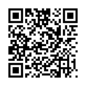 QR SIGV 503 HALBSCH HAFT KURZ S