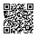 QR ПРОГРАМНЕ ЗАБЕЗПЕЧЕННЯ DIABASS DEX/ELITE XL