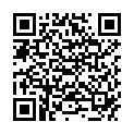 QR SIGV 504 ПАЛИЦЯ ДОВГА S