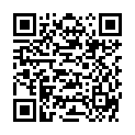 QR SIGV 503 PL SCHENK HAFT LANG L