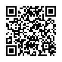 QR GIBORTHO SCHULTERWE GR3 <95CM