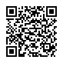 QR TOPPHARM HEMDCHENTASCHE 31X60C