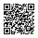 QR SAMA GIPSBINDE STAND 3X20CM WE