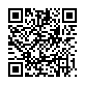 QR VT SOFT AD KKL2 XL N/L GFS CAR