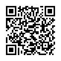 QR SILENT GEHST ALU ERGOGRIF GRAU