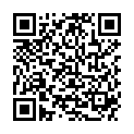 QR INSTRUMENTENKOECHER 120X50