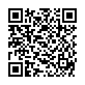 QR DIXA SAFRANFAEDEN LMB EXTRA