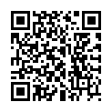 QR Chinamedical Wen Qing Yin Gran 100 г