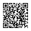 QR Staudt Gel Disp 500 мл