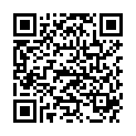 QR Chinamedical Hong Hua 29 капсул 100 шт