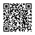 QR Chinamedical Xiao Luo Wan Gran 100 гр