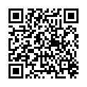 QR SN ARNICA GLOB XMK FL