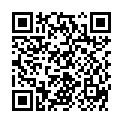 QR ASSISTENT MIKROPIPETTEN 100UL