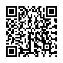 QR SCOTT HANDTUECH EXEL 25X33CM