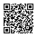 QR BASTOS VERBANDWECHSELSET 2 STE