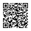 QR Shuyao Tea Culture Teamaker 360мл апельсин