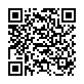 QR Chinamedical Jin Yin Hua 17 капсул 100 шт