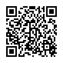 QR ASSIST FAERBBLO HOLZ3 RUNDFAER