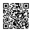 QR ASSISTENT PIPETSPITZEN GELB