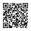 QR ASSISTENT MIKROPIPETTEN 40UL