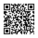 QR Chinamedical Yin Qiao San Gran 100 г
