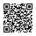 QR RUBIS PINZ GERADE HELLBLAU