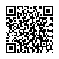 QR SCHILLER SPRAYTRODE EKG