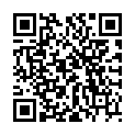 QR OLIGOPHYTUM KUPFER ZINK DO