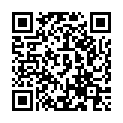 QR HERBA PINSEL AUGEN 3TEIL BUCHE