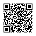 QR WELLSTONE MASSAGEROLLER OBSIDI