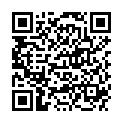 QR HEINE XHL HALOGENLAMPE 2.5