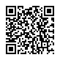 QR ВАША кисть Кабукі KB01