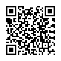 QR ВАШІ Powder Rouge PR01